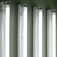 Emotional Runaway - Jovens Criadores 2005